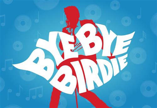 bye bye birdie logo